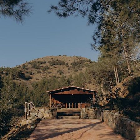Bosco Paradiso Limassol Bagian luar foto