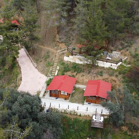 Bosco Paradiso Limassol Bagian luar foto