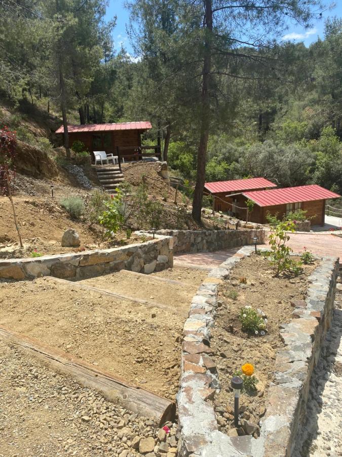 Bosco Paradiso Limassol Bagian luar foto