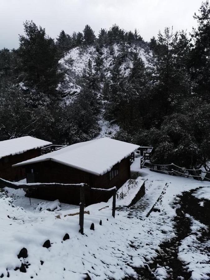 Bosco Paradiso Limassol Bagian luar foto