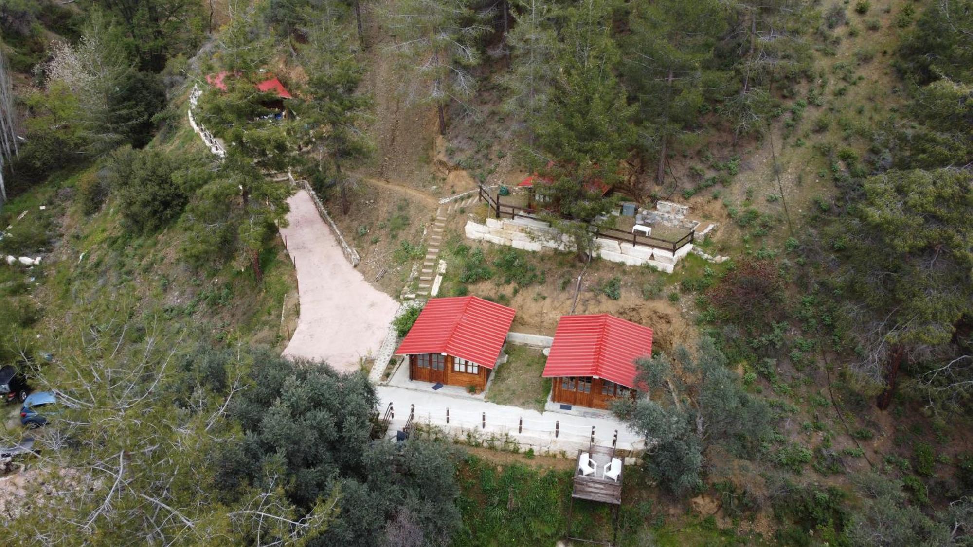 Bosco Paradiso Limassol Bagian luar foto